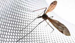 Захистіть свою оселю від комарів з приходом весни!