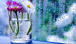 Чому з’являється конденсат на вікнах і як його уникнути?